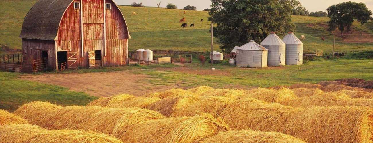 Overcame breeding point concerns has terminate